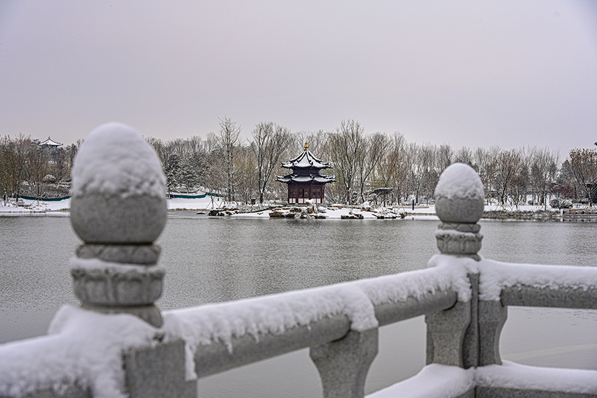 雄安新區(qū)容東片區(qū)園林雪景。胡忠攝